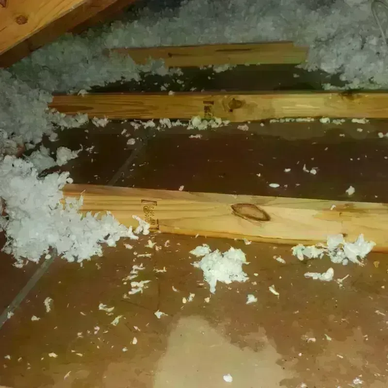 Attic Water Damage in Lumber City, GA