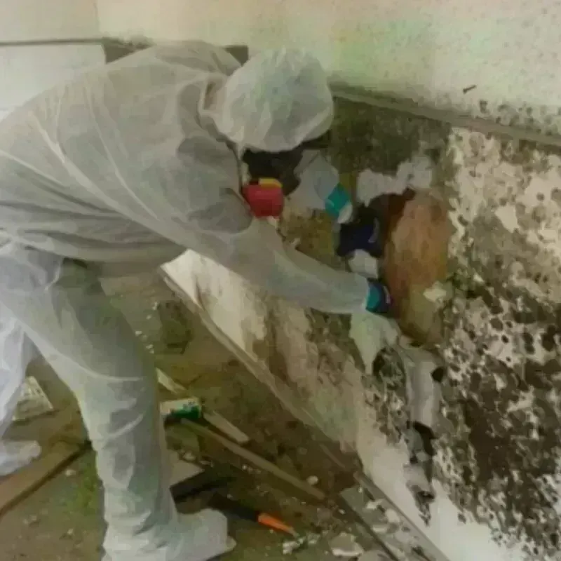 Mold Remediation and Removal in Lumber City, GA