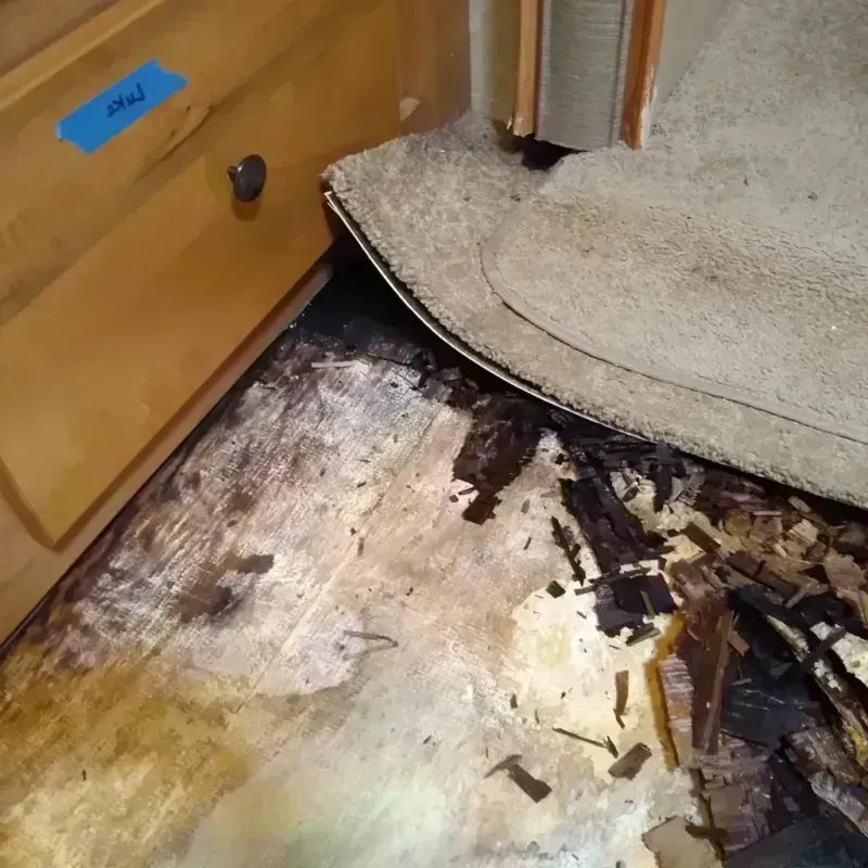 Best Wood Floor Water Damage Service in Lumber City, GA